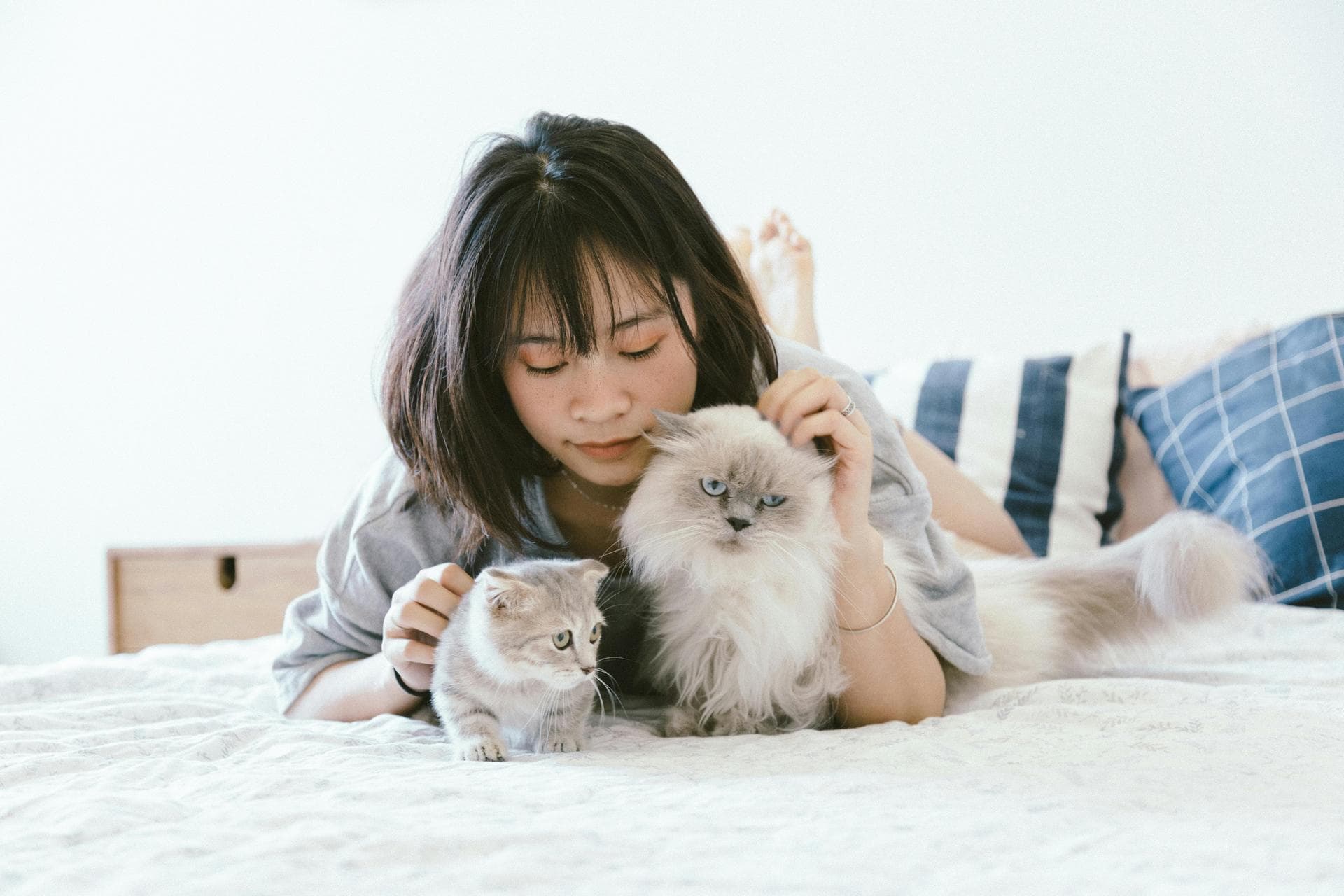 Farm & Large-Animal Vets near Tower Hamlets
